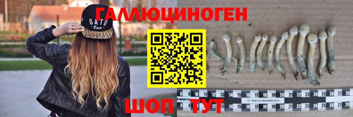 Псилоцибиновые грибы мицелий Петрозаводск